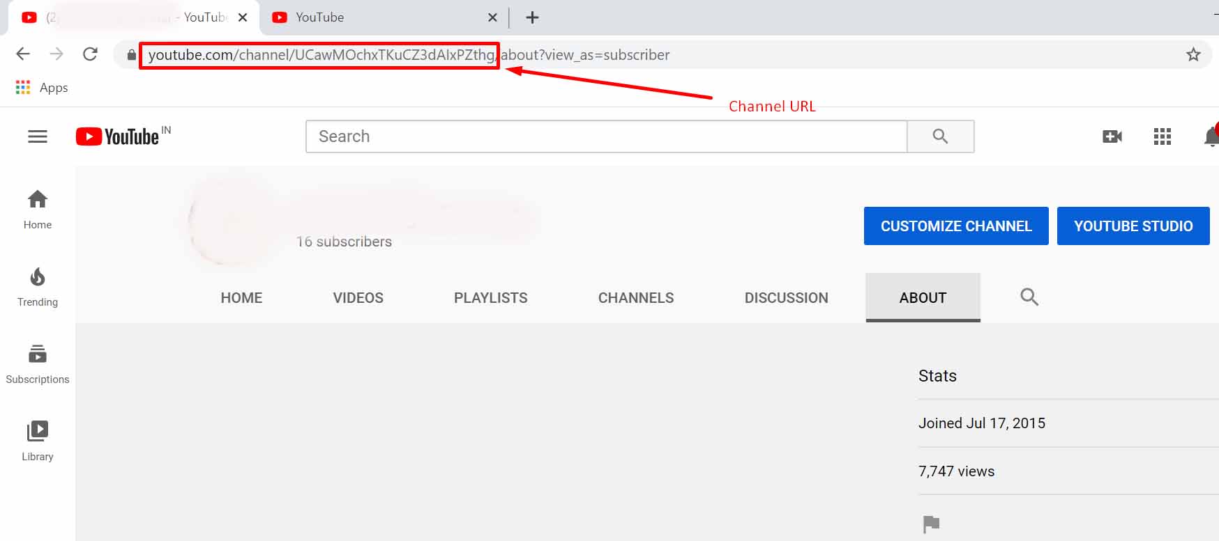 YouTube Channel URL