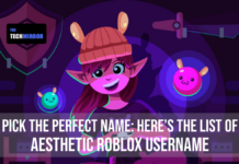 Aesthetic Roblox Username