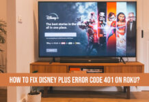 Disney Plus Error Code 401