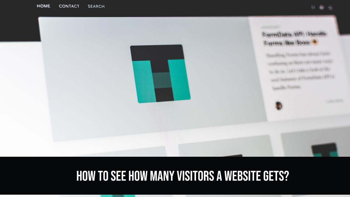 How to See How Many Visitors a Website Gets