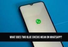 What Does Two Blue Checks Mean on WhatsApp