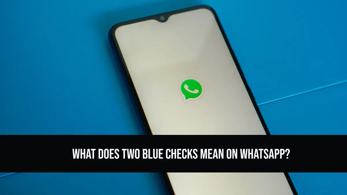 What Does Two Blue Checks Mean on WhatsApp