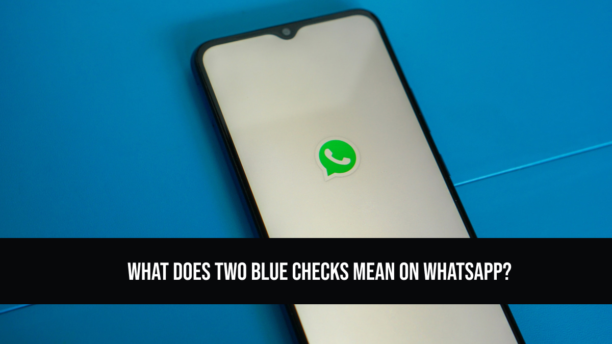 what-does-two-blue-checks-mean-on-whatsapp