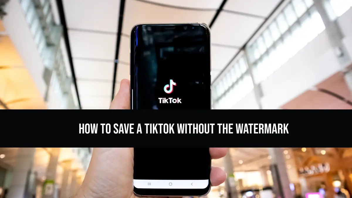 How To Save a Tiktok Without the Watermark