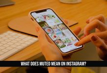 What does Muted mean on Instagram